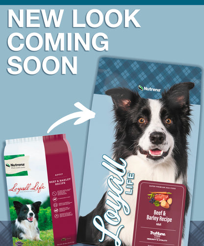 Nutrena® Loyall Life® Beef & Barley Recipe Adult Dog Food