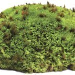 Galapagos Royal Pillow Moss 8QT