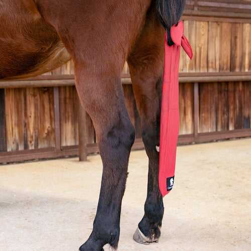 Classic Equine Tail Bag