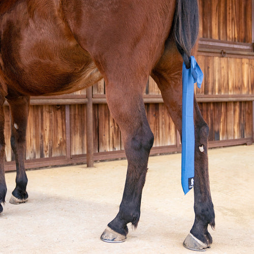 Classic Equine Tail Bag