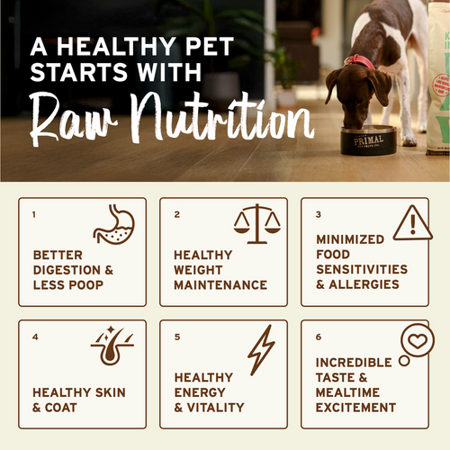 Primal Pet Foods Freeze-Dried Raw Nuggets Dog FoodDuck Recipe