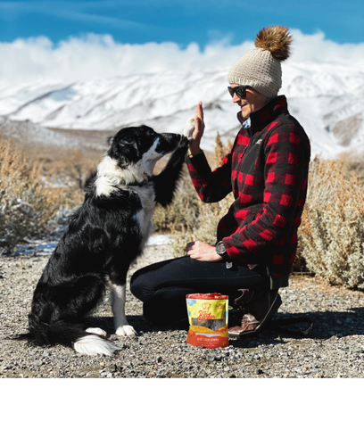 Beg & Barker Beef Liver Strips Dog Treats