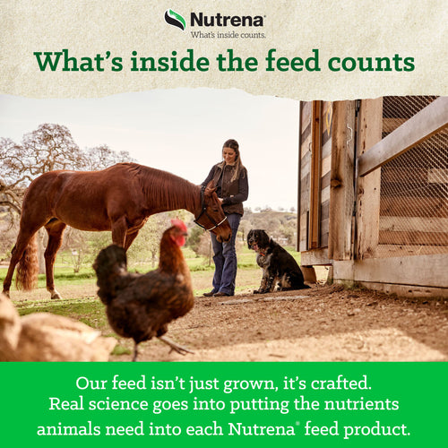 NatureWise® Free-Range Egg Producer 21% Protein Pellet