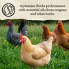 NatureWise® Free-Range Egg Producer 21% Protein Pellet