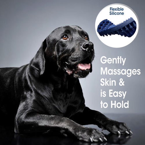 Four Paws Magic Coat Professional Series Dual-Sided Curry Brush for Dogs