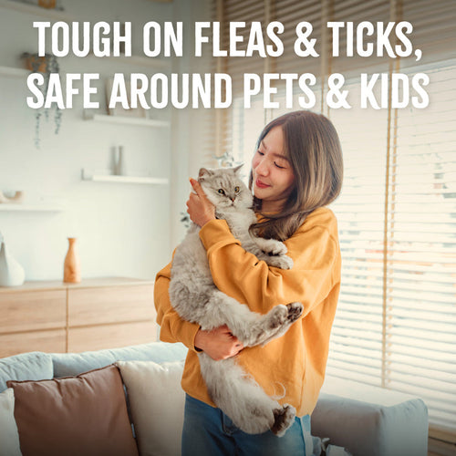 TropiClean Natural Flea + Tick Home + Cat Spray