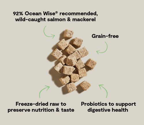 Open Farm Salmon & Mackerel Kitty Cube Treats for Cats