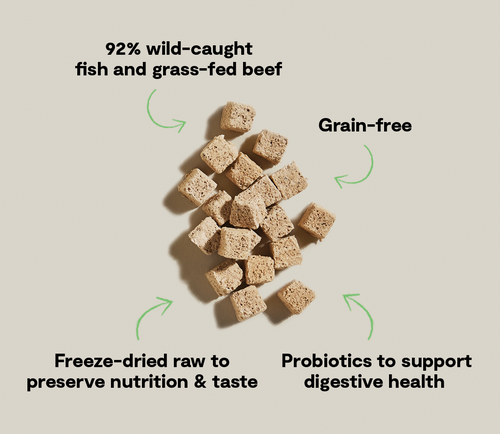 Open Farm Surf & Turf Kitty Cube Treats for Cats