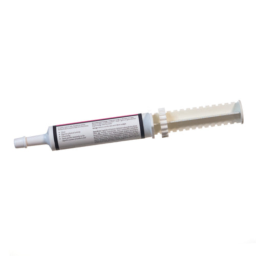 Equerry's Electro-Probiotic Paste