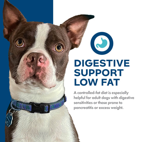 Fromm Nutritionals Digestive Support Low Fat Chicken & Oatmeal Recipe Dry Dog Food