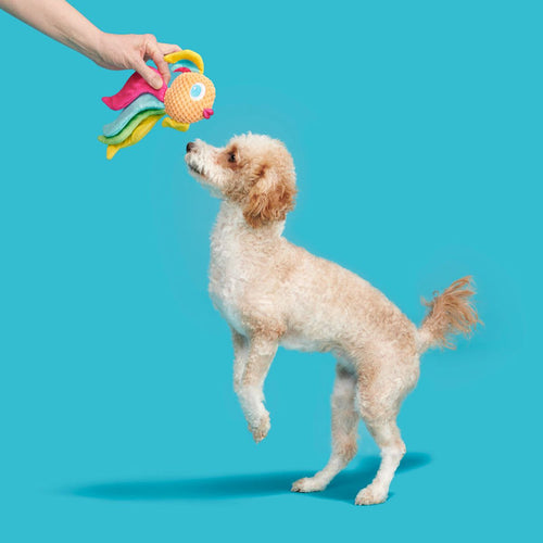 BARK Ahi Tina Plush Tug Dog Toy