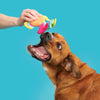 BARK Ahi Tina Plush Tug Dog Toy