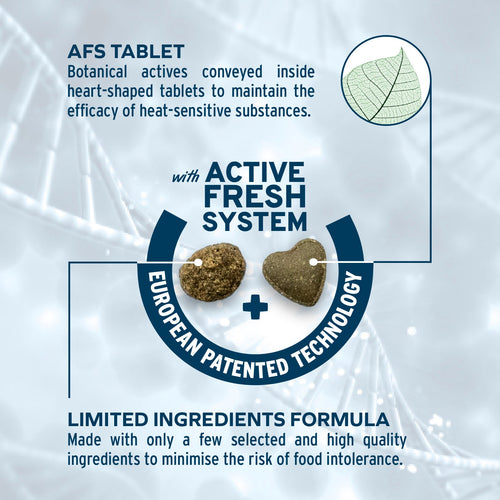 Forza10 Intestinal Dry Cat Food for Sensitive Stomachs & Digestive Support, Fish Flavor