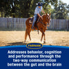 Farnam Quietex Show Pellets Calming & Focusing Paste and Pellets for Performance Horses