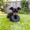 KONG Extreme Donut Dog Toy