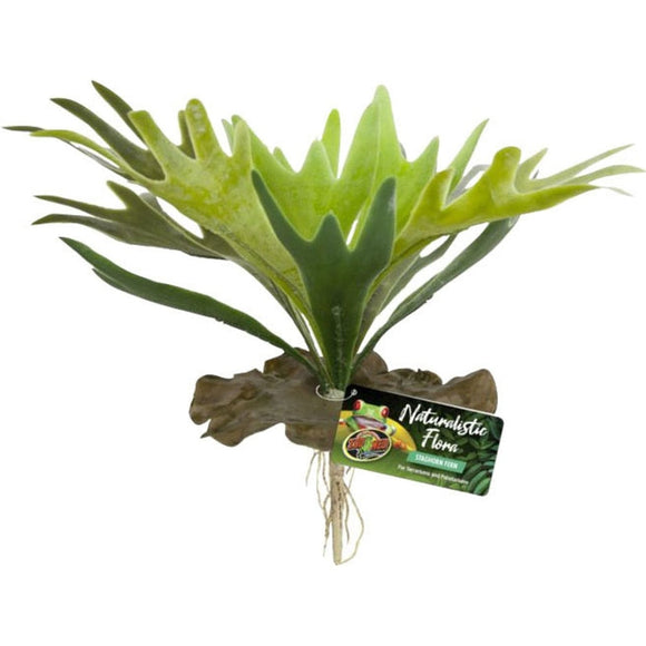 NATURALISTIC FLORA STAGHORN FERN