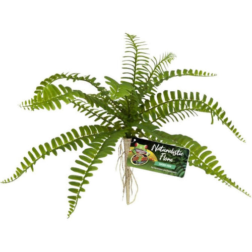 NATURALISTIC FLORA SWORD FERN