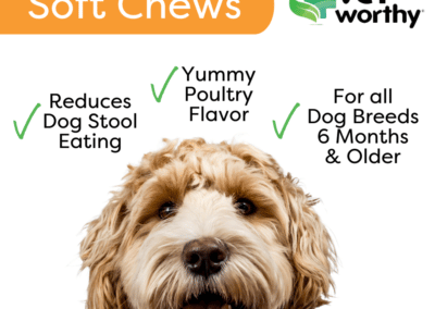 Vet Worthy Stop Stool Ingestion Liver Flavored Soft Chew for Dogs