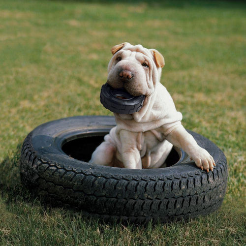 KONG Extreme Tires Dog Toy