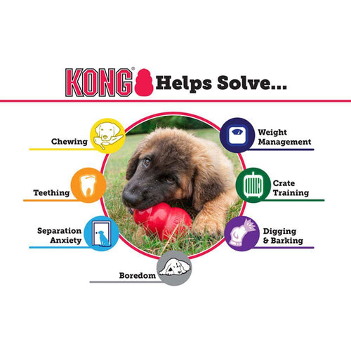 KONG Senior Kong Dog Toy