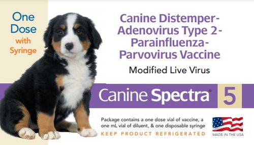 What is the distemper best sale parvo vaccine