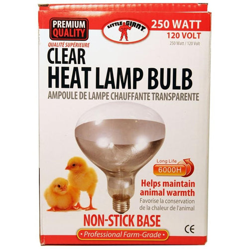 LITTLE GIANT CLEAR HEAT LAMP BULB